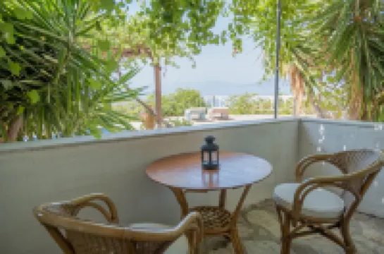 House with with a Spectacular Sea View