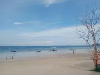 Lotus Hostel Beach Bar Koh Tao