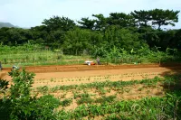 Green Hill Hotels in Tatsugo