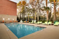 Holiday Inn Express & Suites CHARLESTON NE MT PLEASANT US17 by IHG - Pools