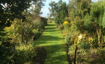 a lush , green garden path with tall grass and trees on either side , leading to a building at Laurel Lodge