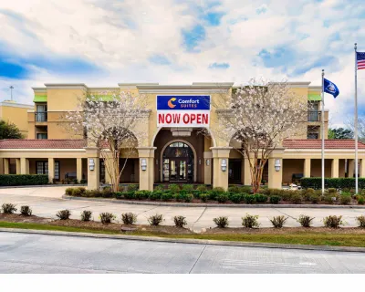 Comfort Suites Baton Rouge South I-10 Hotels in Westminster
