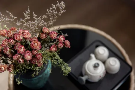 Lijiang zheyuan Snow Mountain View Holiday Villa