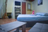 Mlk Bamboo Beachhouse Hotels in Malabuyoc