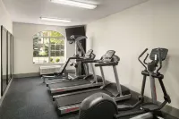 Country Inn & Suites by Radisson, Novi, MI - Træningscentre