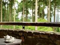 Diamond Hakone Society - غرفة مطلة على الجبل