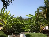 Alma de Ojochal