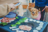 Moremotto Sakasama Dog Resort فنادق في سادو
