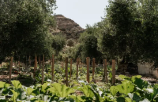 Paralos the Maxine Hotel Adults Only