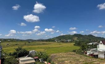 THITHAO HOMESTAY