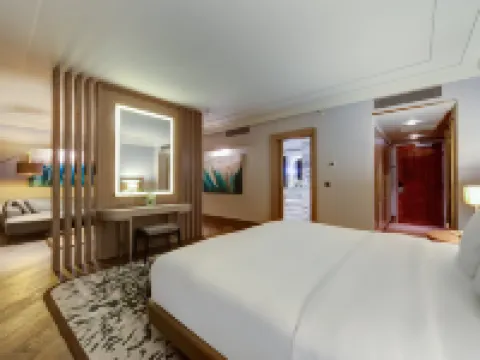 アダナ ヒルトン ホテル アダナのホテル