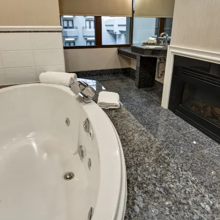 The Cincinnatian Hotel, Curio Collection by Hilton