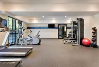 Hampton Inn Pawley's Island Hotels in Murrells Inlet