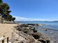 T2 les Pieds Dans L'eau aux Pins Penchés !