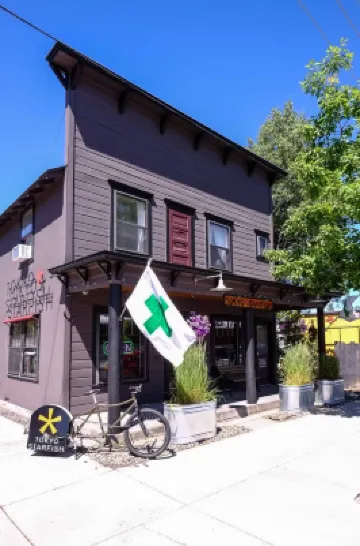 Tokyo Starfish -  "Bud-And-Breakfast"