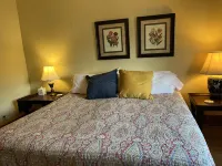 New Listing! Charming home two blocks from Galena Main St with deck and parking