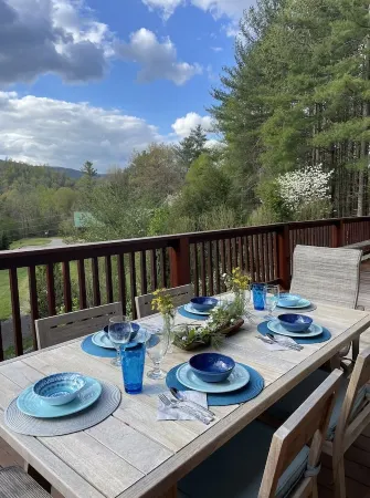 Blue Ridge Mountain Cabin; chill vibes, scenic views, nearby hiking and wineries Отели в г. Джонсон