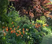 The Courtyard overlooking Kiftsgate Court Gardens
