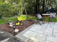 Bee-Themed Stay Near Boston – A Sweet and Unique Getaway Hotels in Billerica