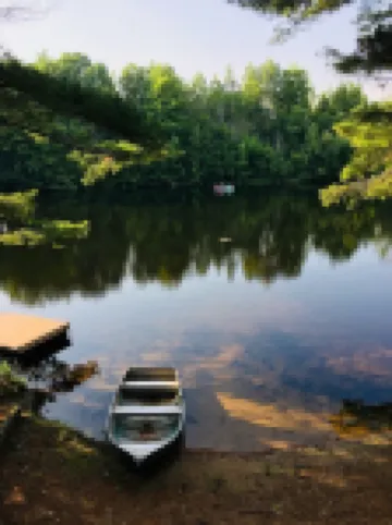 Perfect Tranquility--where nature and wildlife are your only neighbors!