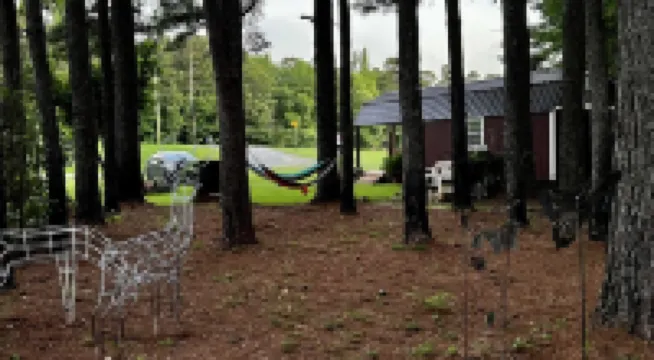 Whispering Pines Cabin near beautiful Lake Ouachita