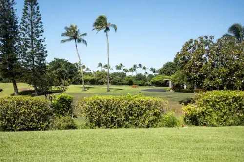 Niki Lani Condo on the Golf course @ Turtle bay