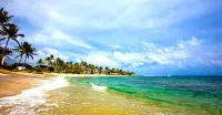 Nice 2Br@Beach Sleeps 4+ Hear Waves! Value Comfort-Best Location! Sale Sept/OCT