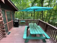 Cozy 2-bedroom, one bath cabin in amazing Blue Ridge with Wi Ac
