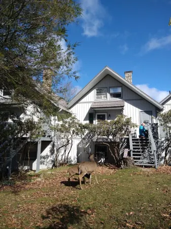 Welcome to the stunning Bergbewohner ski chalet! Отели в г. Бич Маунтин