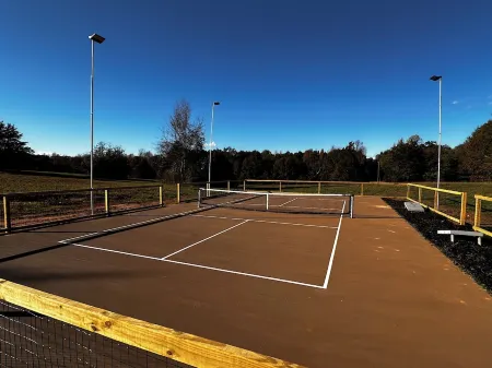 The Tiny Pickleball Mansion at Lake Hartwell