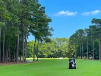 Charming 2 BR cottage, set in Live Oak Grove in Gated WPC,  Murrells Inlet, Pets Hotels in Murrells Inlet