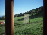 Petit Chalet Pentagonal Entre Prés et Forêt