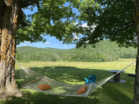 5 miles to Okemo/Ludlow, 25 Acre Playground, Great Ski or Summer Rental
