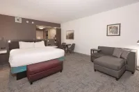 Hilton Garden Inn Chandler Downtown Hotels in Chandler