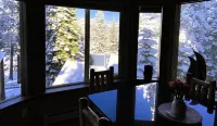 Tahoe Aloha Cabin: TWO Kitchens & Living Rooms, Game Rm, Hot tub, Fitness  Equip