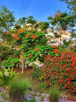 Spacious 4-bedroom house in tranquil Vero Beach with AC, WiFi