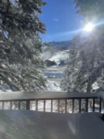 Moose Manor-Giant Steps Lifts and Lodge is directly across from this Condo.