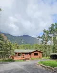 Home nestled in a private forest setting,  mountain views, walk to Kenai Lake.
