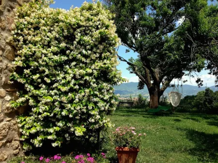 Offer August -5% Casa Erika, app. in the Podere Porcino, with a fantastic panorama