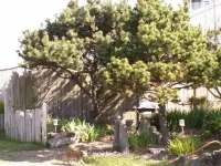 Ocean Wind Retreat, Oceanfront, romantic, ideal for couples, pet friendly Hotels in Newport