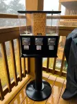 Modern Snowshoe Retreat - 3Br/2BA - Walk to Slopes + Mountain Views