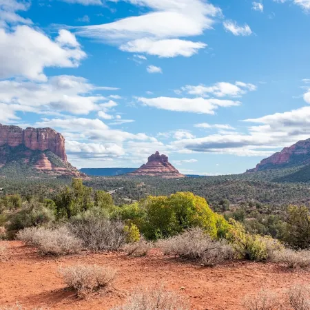 This loft style home is a perfect romantic getaway! Near to shopping and hiking!