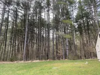 Fishing, Hiking, Biking, Campfire Fun & More! Get 2 Properties for 1… me!