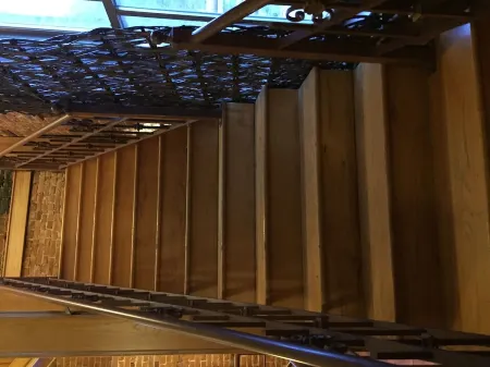 Night Owl 5N DOWNTOWN (optional paid parking upon request)