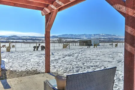 A Night with the Alpacas & Alpaca Experience!