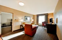 Hilton Garden Inn Tampa North Hotels in 