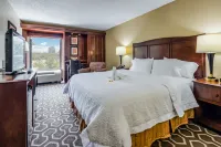 Hampton Inn Tampa-Airport/Westshore