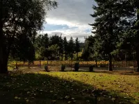 Country feel, w/ all amenities, close to winery, restaurants, shops, & freeway!
