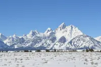The Yellowstone Cabin