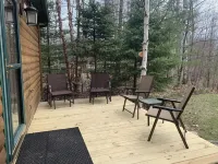 Bearadise On the Thornapple River